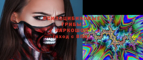 индика Алексин